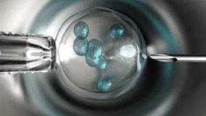 禧孕美宝：同性恋形婚做试管婴儿，靠谱吗？