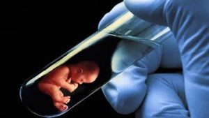 禧孕美宝：同性恋做试管婴儿，生育之路的探索与现实