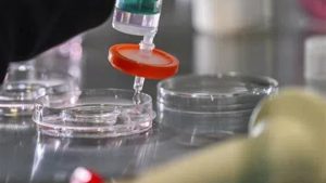 禧孕美宝：同性恋做试管婴儿，生育之路的探索与现实