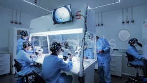 禧孕美宝：生育新探索—同性试管婴儿费用全解析